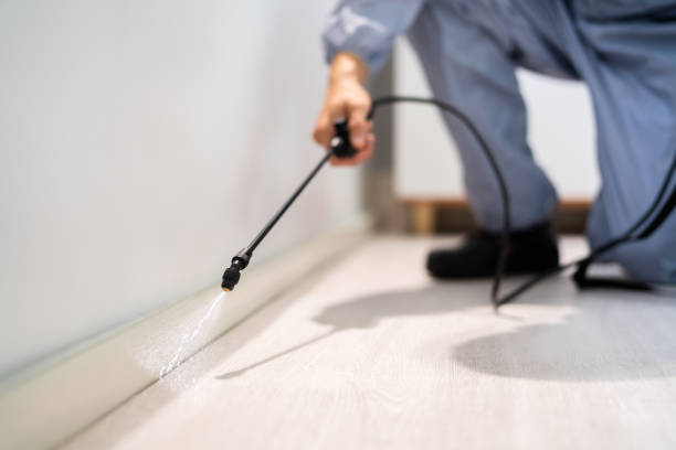 Licensed Cockroach Control service in Grayslake, IL - Nex Pest Control