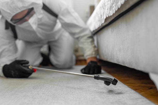 Professional Cockroach Control technician working in Grayslake, IL